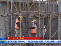內(nèi)蒙古金貓?zhí)坎牧享?xiàng)目一期70%完工