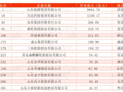 2024山東500強(qiáng)，輪胎企業(yè)大放異彩！