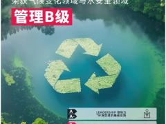 賽輪集團在CDP評級中脫穎而出，斬獲“B級”佳績